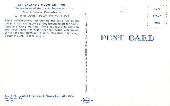 Stricklands Mountain Inn and Cottages - Vintage Postcard And Photo (newer photo)